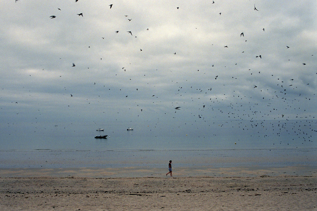 RIV0263034.jpg