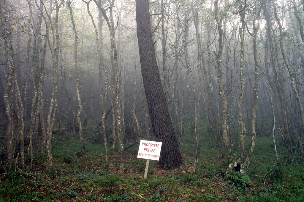 RIV0262651.jpg