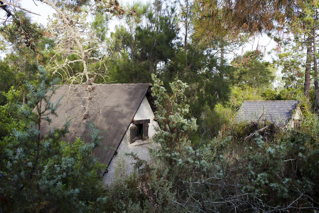 RIV0525673.jpg