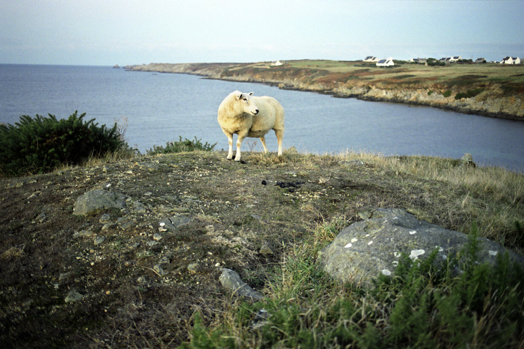 RIV0262615.jpg