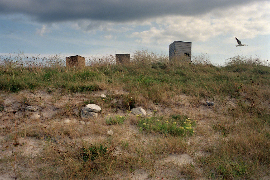 RIV0263016.jpg