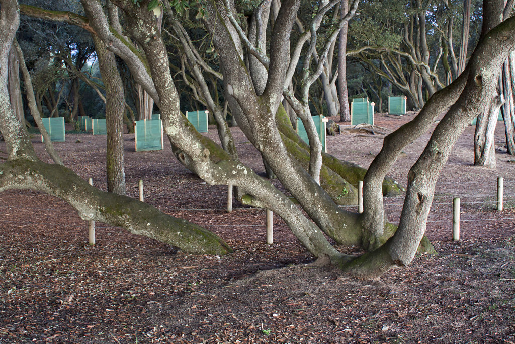 RIV0365861.jpg