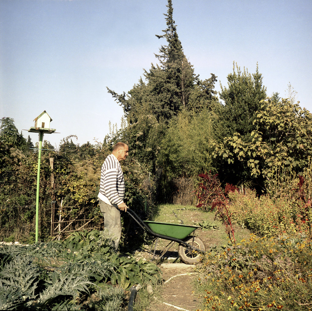 DEB0092926.jpg