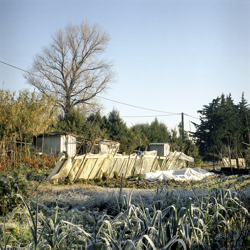 DEB0092936.jpg