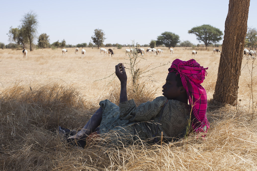 Terres de savoirs / Changement climatique et sécurité alimentaire au Sénégal