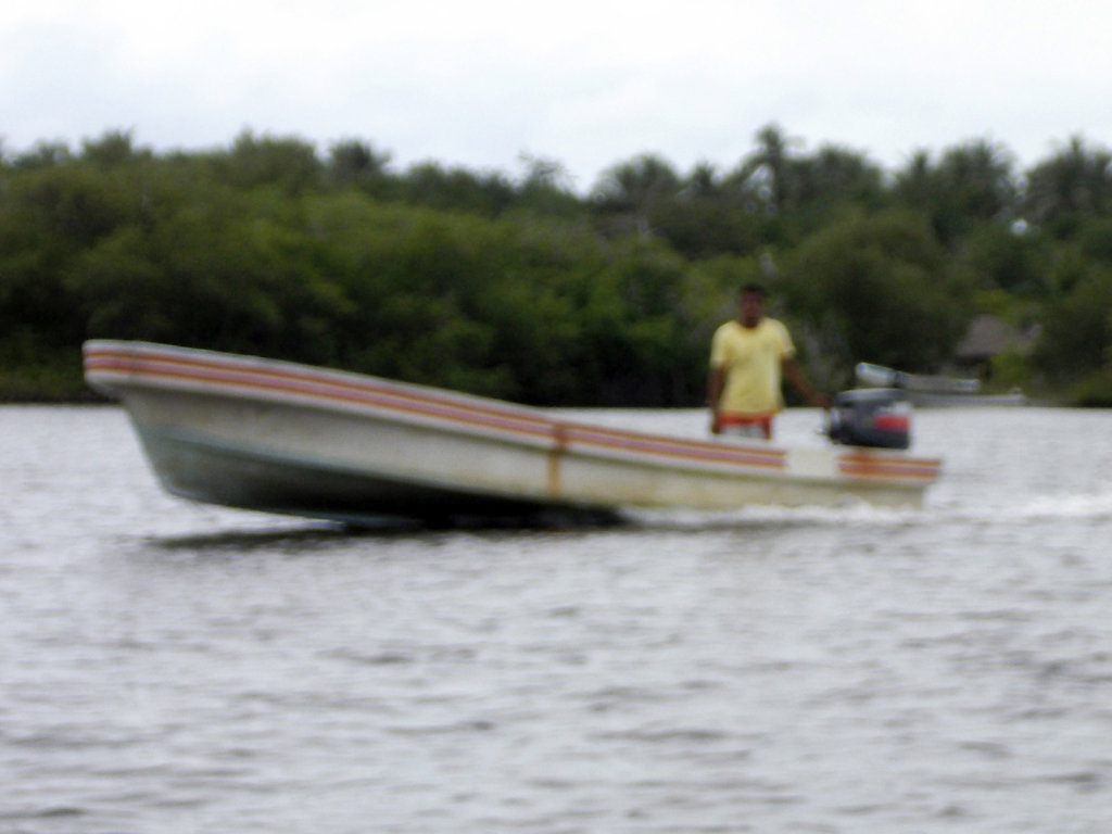 DEB0470322.jpg