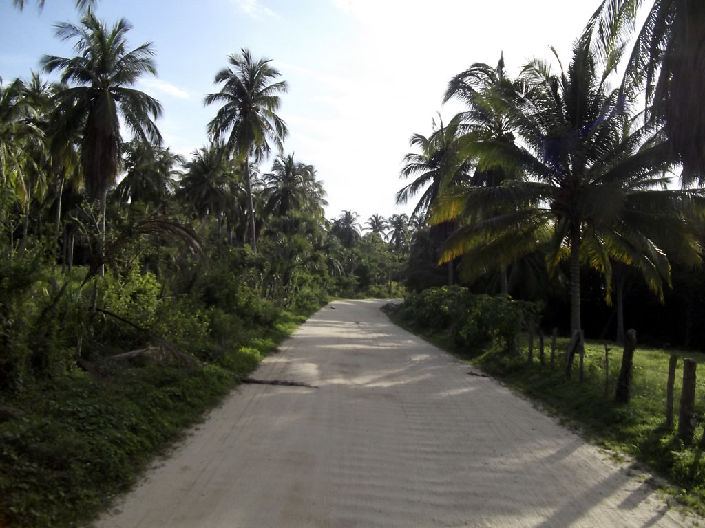 DEB0470316.jpg