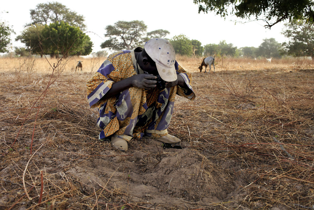 Terres de savoirs / Photo-ethnographie participative au Sénégal