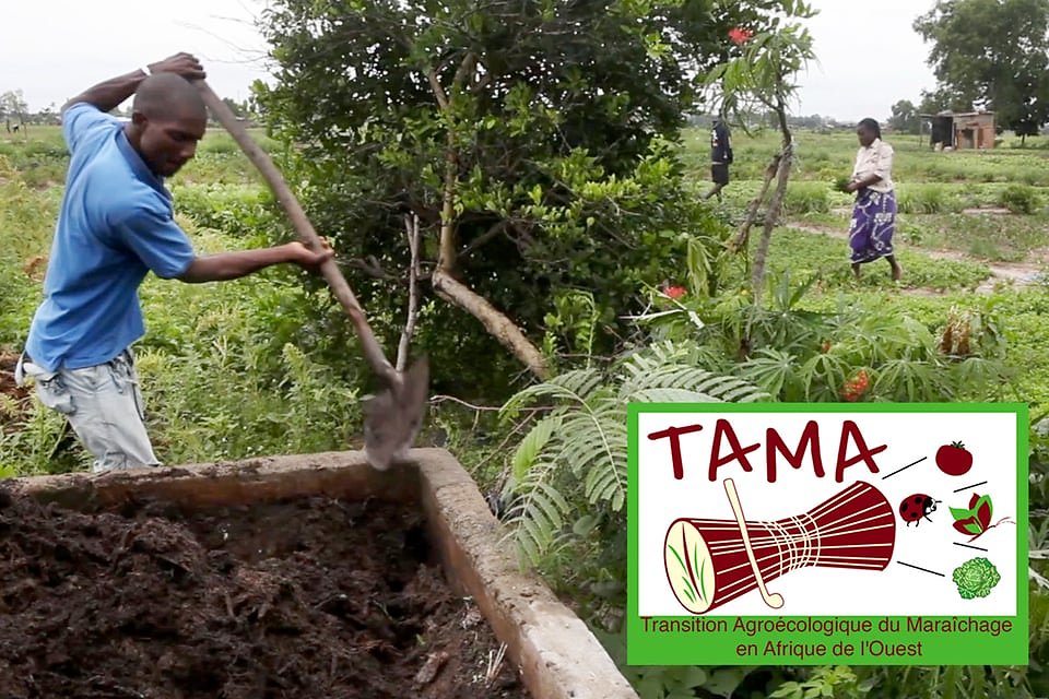 TAMA: Transition Agro-écologique du Maraîchage en Afrique de l'Ouest